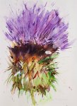 Thistle